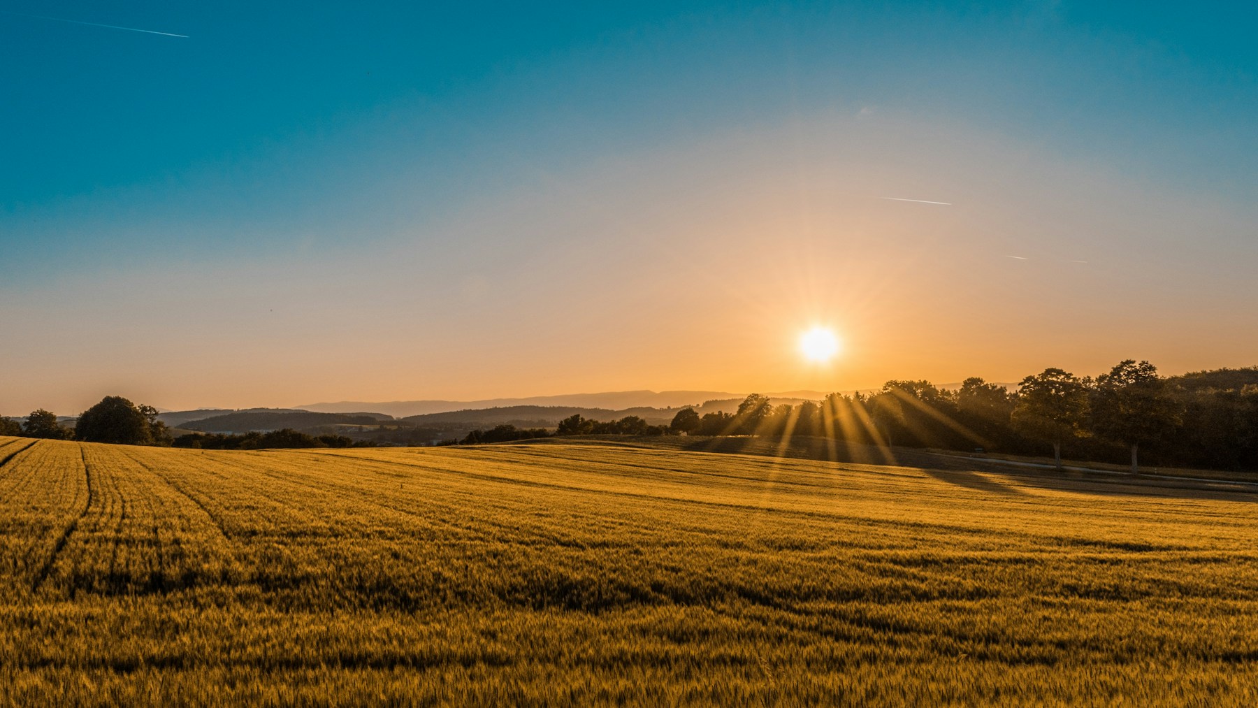 Sunlight across green countryside and open fields